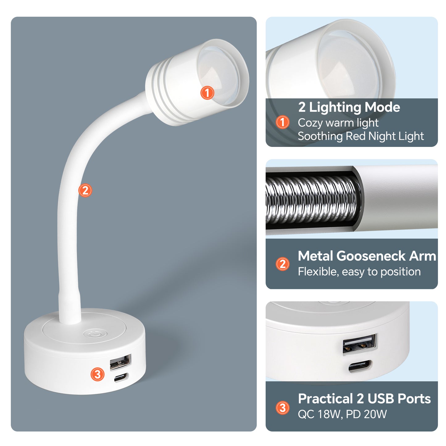 12V Reading Light Campervan, 3200K(Dimmable) & Soft Red Night Light, Equipped USB-A & USB-C Charger
